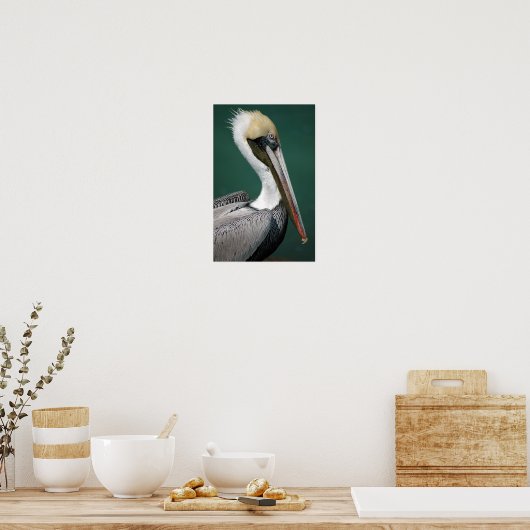 Pelican Poster (Keuken)
