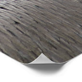 Pelican Poster (Hoek)