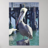 Pelican Print (Voorkant)