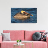 Pelican Resting in Water Canvas Print (Insitu (Woonkamer))