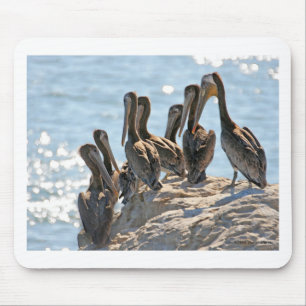 Pelican Rock Muismat
