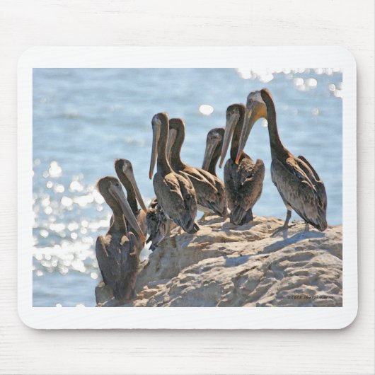 Pelican Rock Muismat (Voorkant)