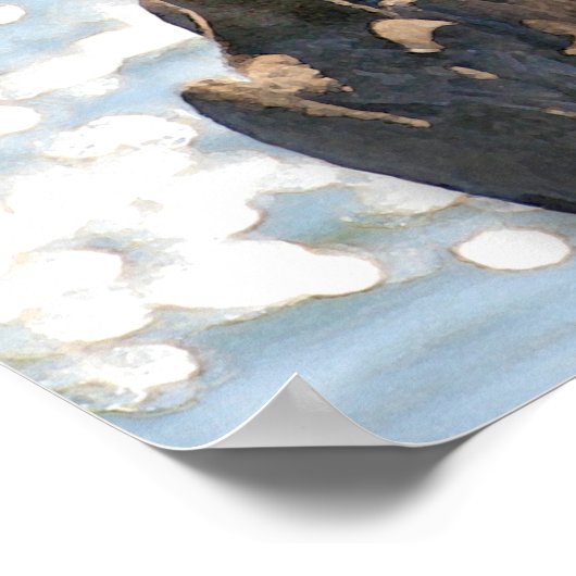 Pelican Rock Poster (Hoek)