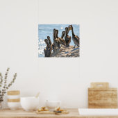 Pelican Rock Poster (Keuken)