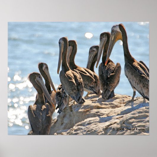 Pelican Rock Poster (Voorkant)