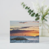 Pelican Rock Sunset, Dauphin Island, Alabama Briefkaart (Staand voorkant)