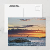 Pelican Rock Sunset, Dauphin Island, Alabama Briefkaart (Voorkant / Achterkant)