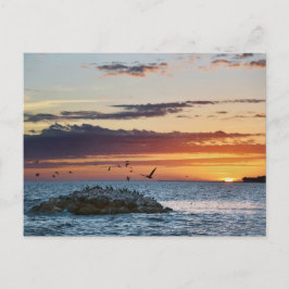 Pelican Rock Sunset, Dauphin Island, Alabama Briefkaart
