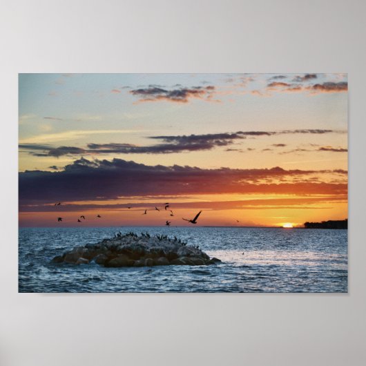 Pelican Rock Sunset, Dauphin Island, Alabama Poster (Voorkant)