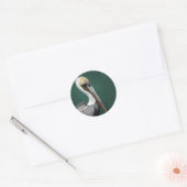 Pelican Round Sticker (Envelop)