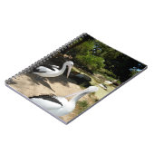 Pelican Sanctuary, Notitieboek (Linkerzijde)