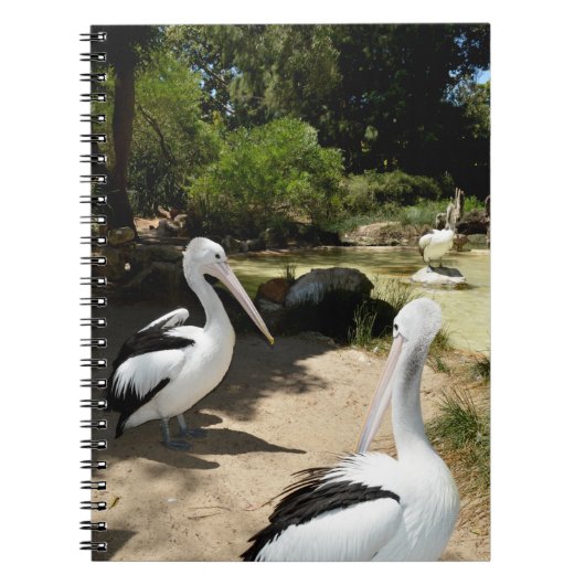 Pelican Sanctuary, Notitieboek (Voorkant)