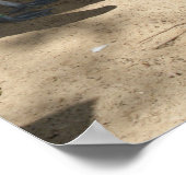 Pelican Sanctuary, Poster (Hoek)