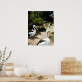 Pelican Sanctuary, Poster (Keuken)