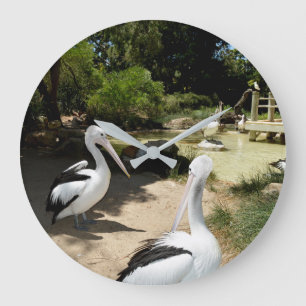 Pelican Sanctuary, Wall Clock Grote Klok