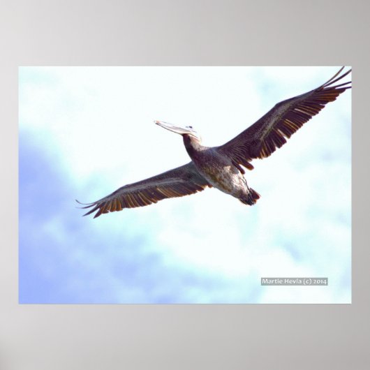 Pelican Soars Print (Voorkant)