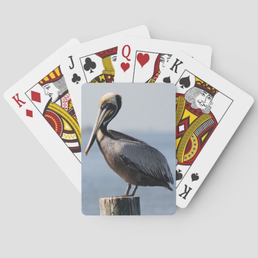 Pelican-speelkaarten Pokerkaarten (Achterkant)