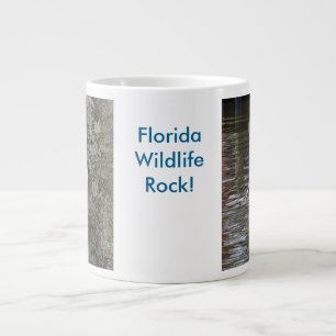 Pelican Squirrel Florida Wildlife Rocks Mok