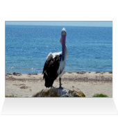 Pelican Stare Down, Birthday Kaart (Binnen Horizontaal (Boven))