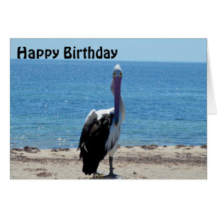 Pelican Stare Down, Birthday Kaart