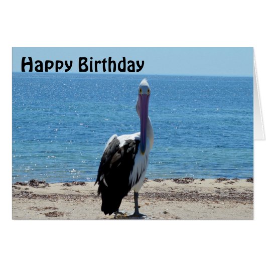 Pelican Stare Down, Birthday Kaart (Voorkant Horizontaal)