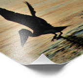 Pelican start op zonsondergang Golfkust Florida Foto Afdruk (Hoek)