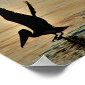 Pelican start op zonsondergang Golfkust Florida Poster (Hoek)