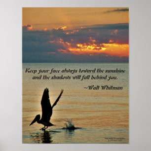 Pelican start op zonsondergang Golfkust Florida Poster