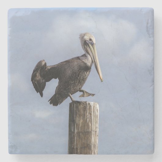 Pelican Stenen Onderzetter (Voorkant)