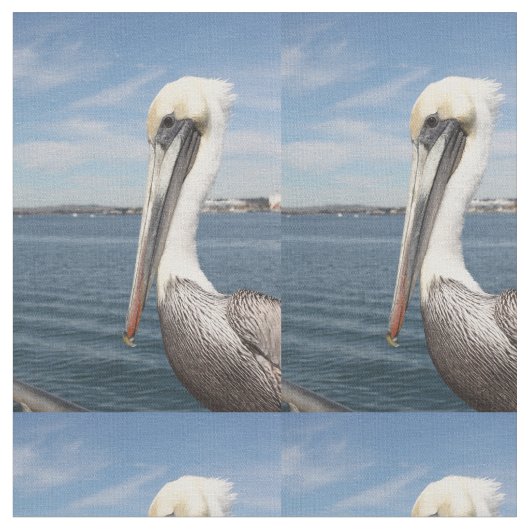 Pelican Stof (Close Up)