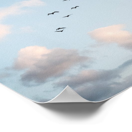 Pelican Sunset Print Poster Paper (Semi-Gloss) (Hoek)