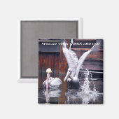 Pelican Takeoff Magneet (Voorkant / Achterkant)