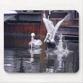 Pelican Takeoff Muismat (Voorkant)