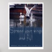 Pelican Takeoff Poster (Voorkant)