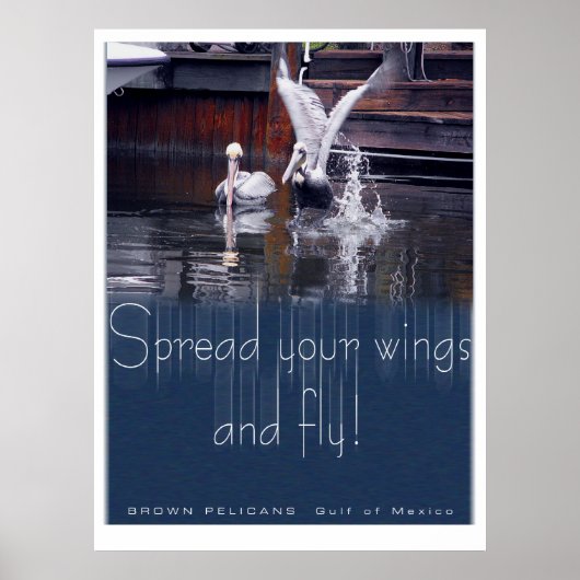 Pelican Takeoff Poster (Voorkant)