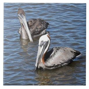 Pelican Tegeltje