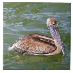 Pelican Tegeltje