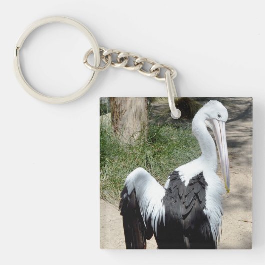Pelican Time to Preen, Keyring Sleutelhanger (voorkant)