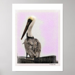 Pelican - Tinted / Black Lijst Print