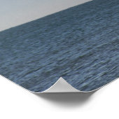 Pelican Turning to Dive Poster (Hoek)