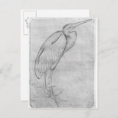 Pelican van het Album van de Vallardi Briefkaart (Voorkant / Achterkant)