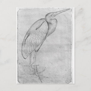 Pelican van het Album van de Vallardi Briefkaart