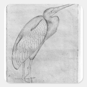 Pelican van het Album van de Vallardi Vierkante Sticker