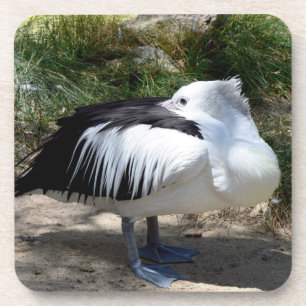 Pelican voelt zich zo slaperig, hard plastic onder bier onderzetter
