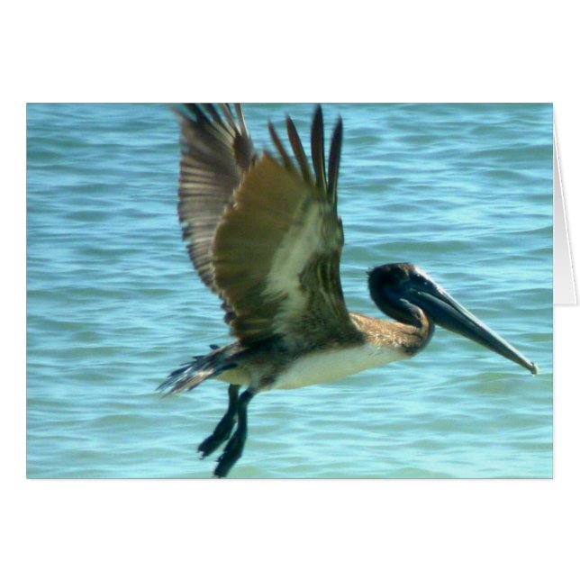 Pelican Watch (Voorkant Horizontaal)