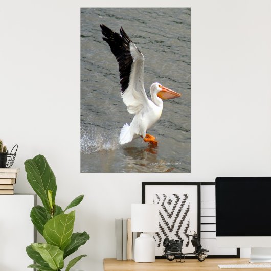 Pelican Wings Poster (Thuiskantoor)