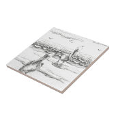 Pelican Woorim strand, Australië, Queensland Tegeltje (Zijkant)