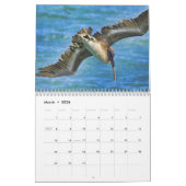 Pelicans Agenda Kalender (Mar 2026)