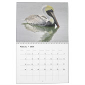 Pelicans Agenda Kalender (Feb 2026)