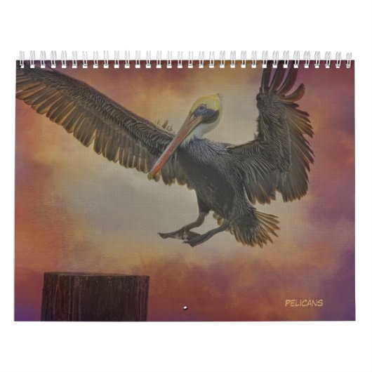 Pelicans Agenda Kalender (Hoes)